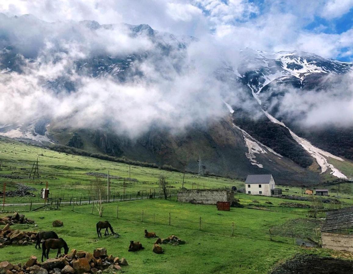 Arte In Kazbegi Hotel Kültér fotó